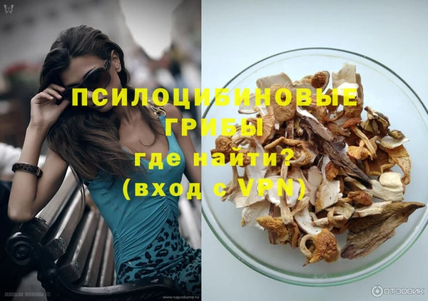 мдма Заводоуковск